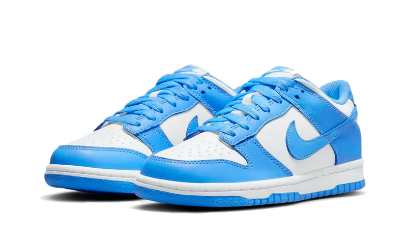 Nike Dunk Low UNC