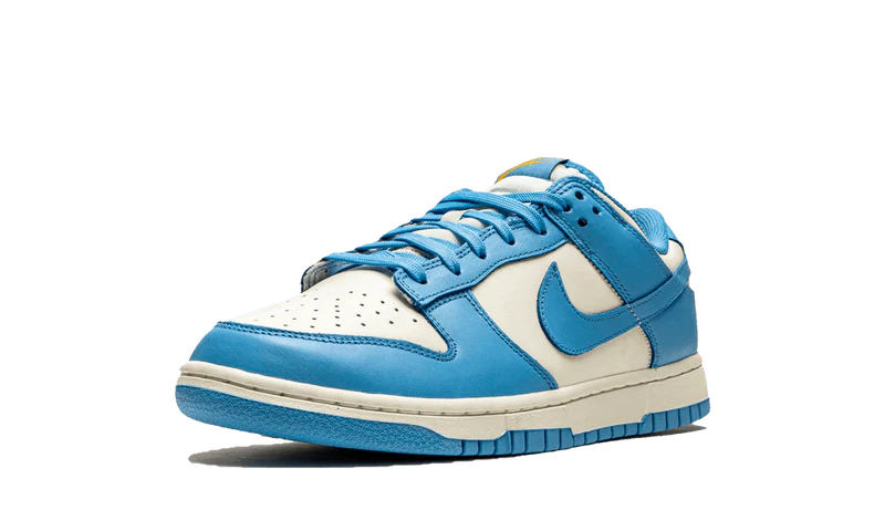 Nike Dunk Low Coast (W)