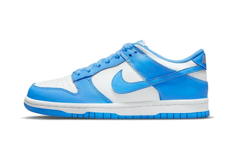 Nike Dunk Low UNC